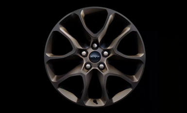 20 x 10.0-inch Brass Monkey wheel
